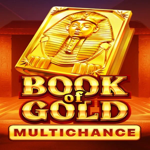 Slots logo of Book of Gold Multichance from Playson at Realz Casino