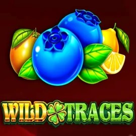 Wild Traces slot logo by Amusnet Interactive at Realz Casino